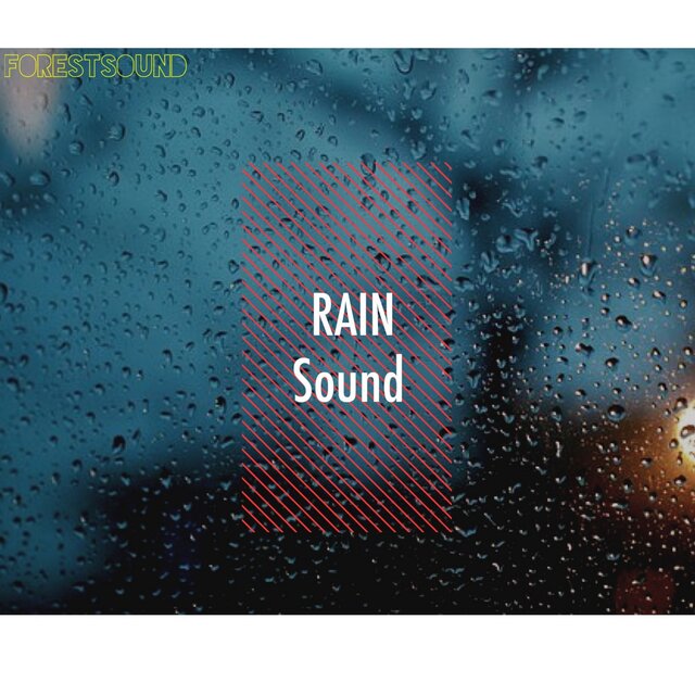 Sounds of Rain