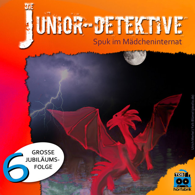 Die Junior-Detektive Spuk Im Mädcheninternat