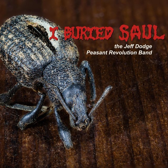 I Buried Saul