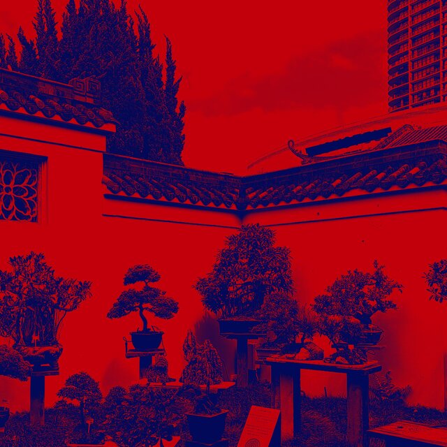 99 : 1