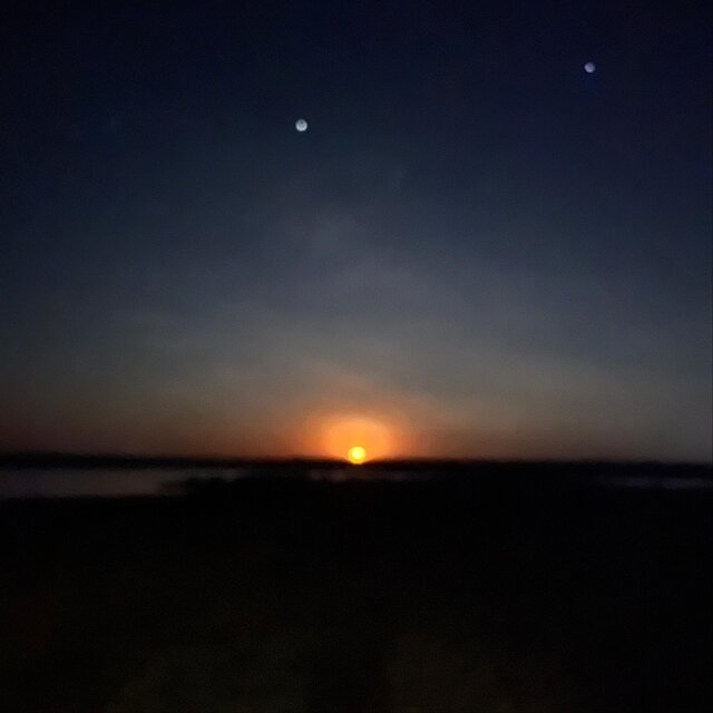 El Fla