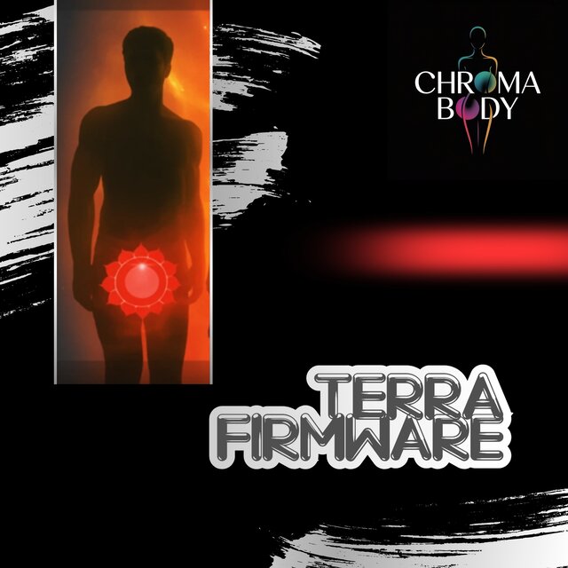 Terra Firmware