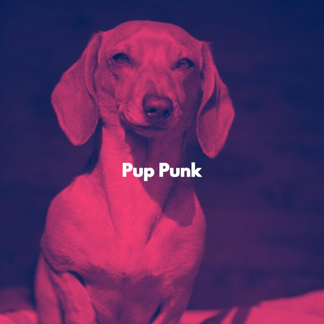Pup Punk