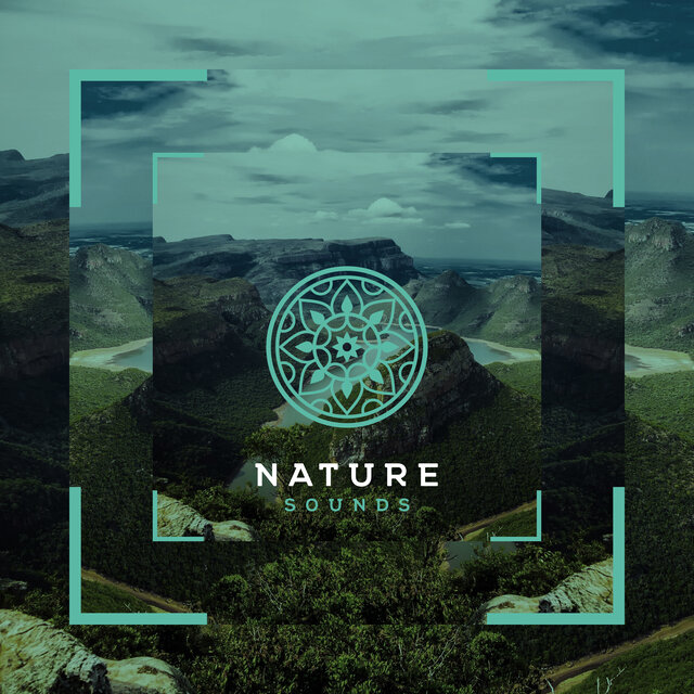 Eco del Bosque