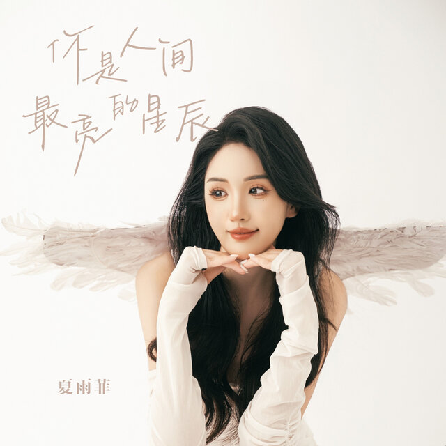 你是人间最亮的星辰 (和声伴奏版)