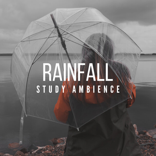 Rainfall Study Ambience: Relaxing Music to Study, BGM Study Zone