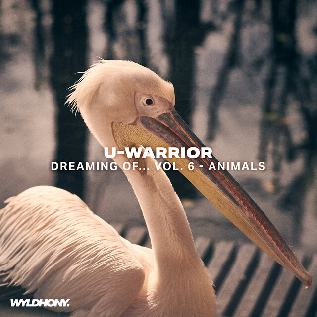 Dreaming Of..., Vol. VI - Animals