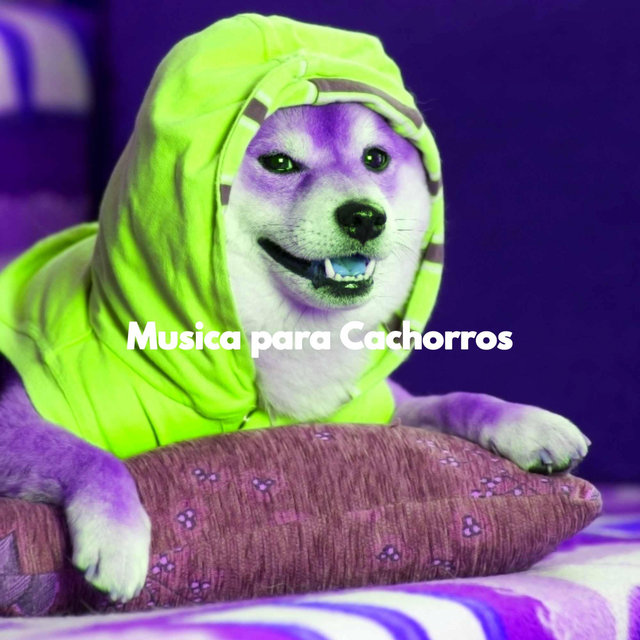 Musica para Cachorros
