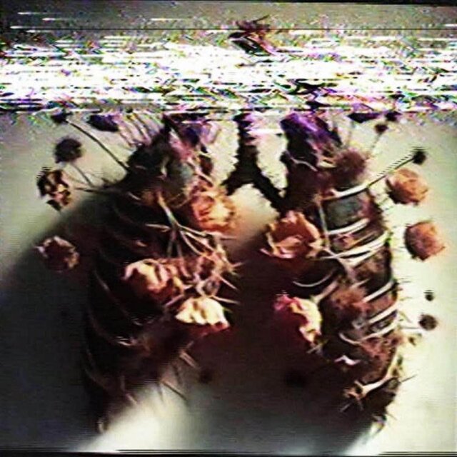 Decay