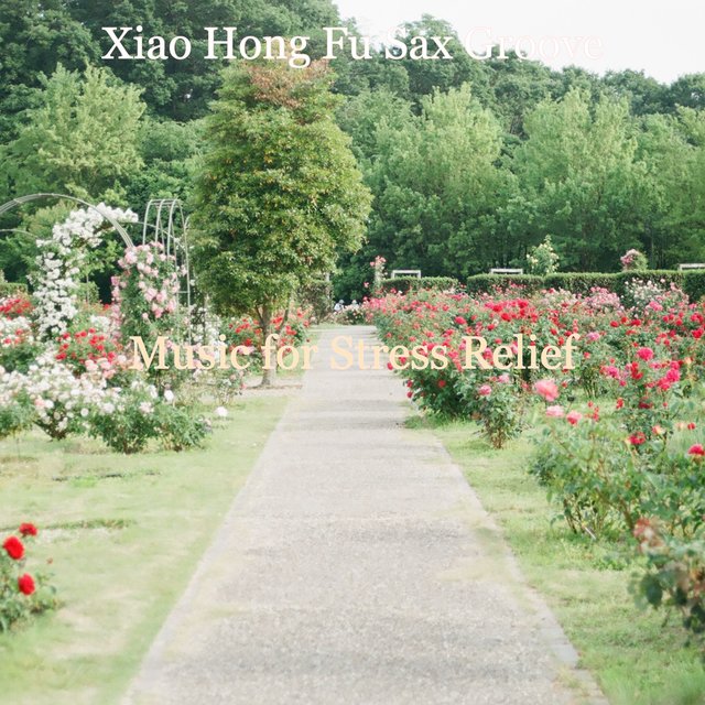 Music for Stress Relief