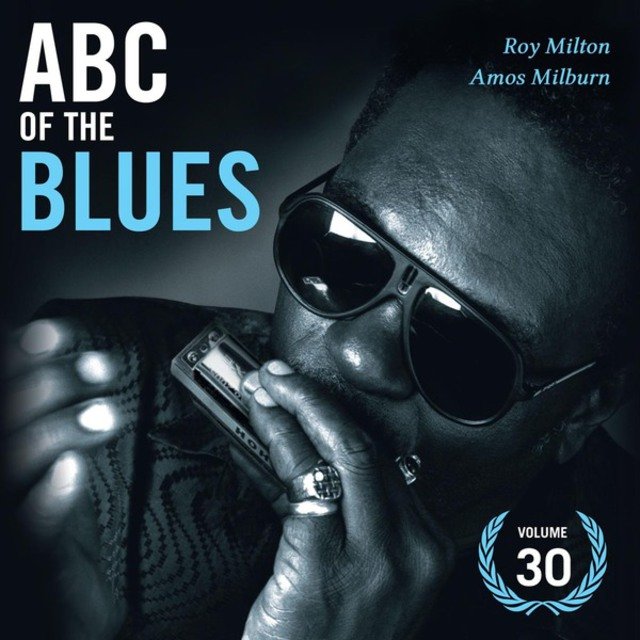 Abc of the Blues Vol. 30