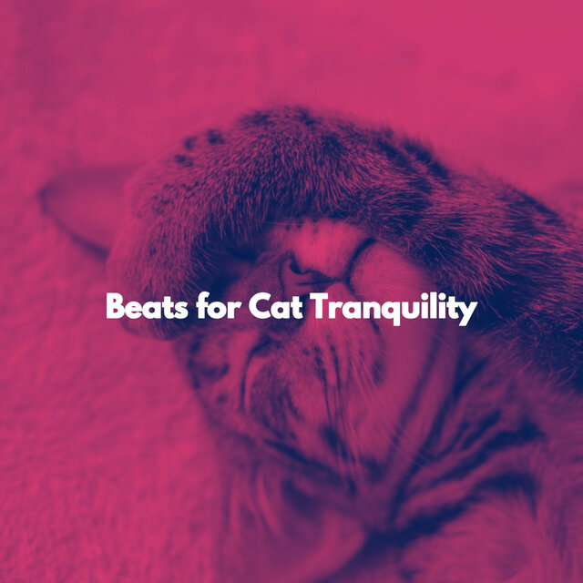 Beats for Cat Tranquility