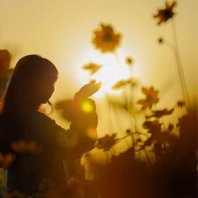 Sunset in Loneliness