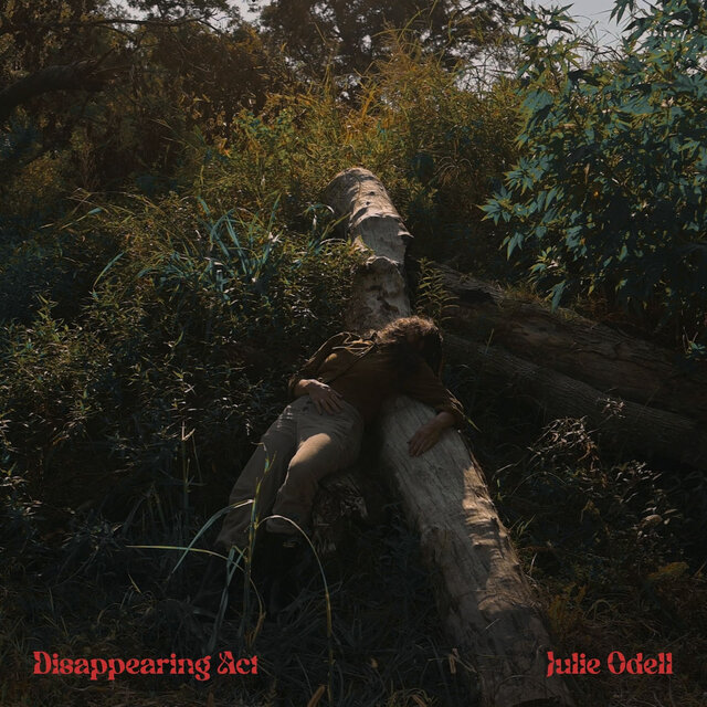 Cover art for album Disappearing Act by Julie Odell