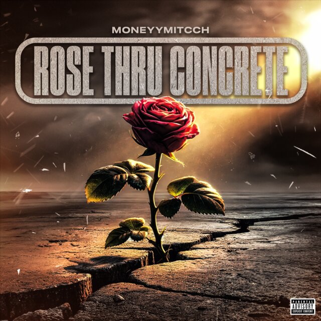 Rose Thru Concrete