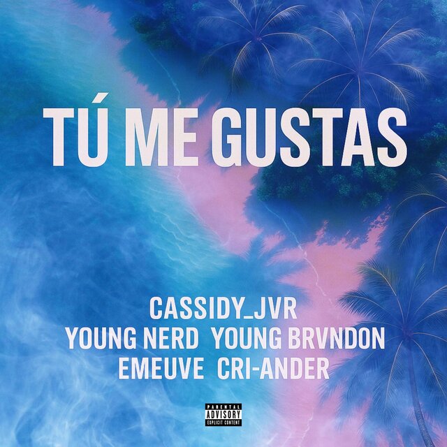 Tú Me Gustas (feat. Young Brvnd0n, Young Nerd, EmeuVe & Cri-ander)