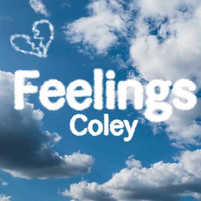 Feelings