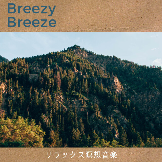 リラックス瞑想音楽