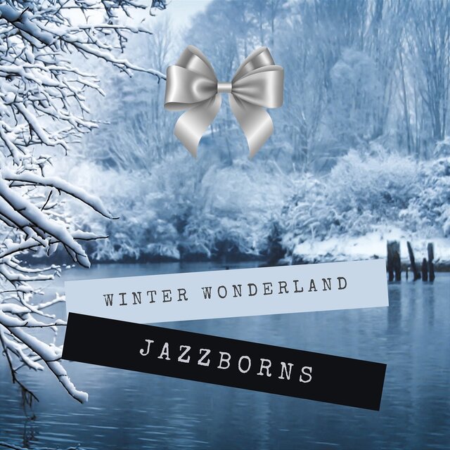 Winter Wonderland Swing