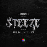 Steeze