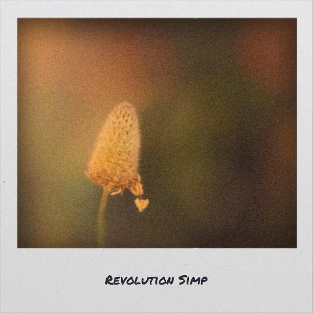 Revolution Simp