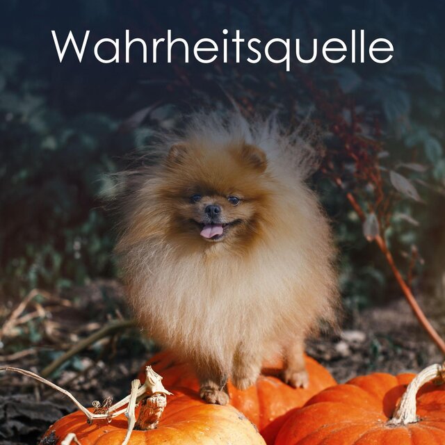 Wahrheitsquelle