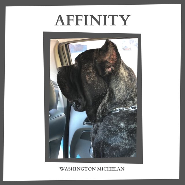 Affinity