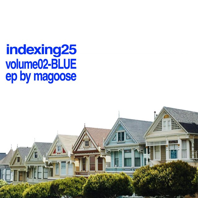 indexing25-V2-BLUE