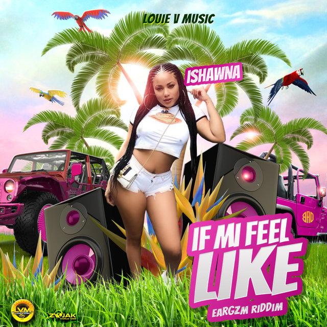 If Mi Feel Like - Single