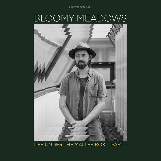 Life under the mallee box : part 1