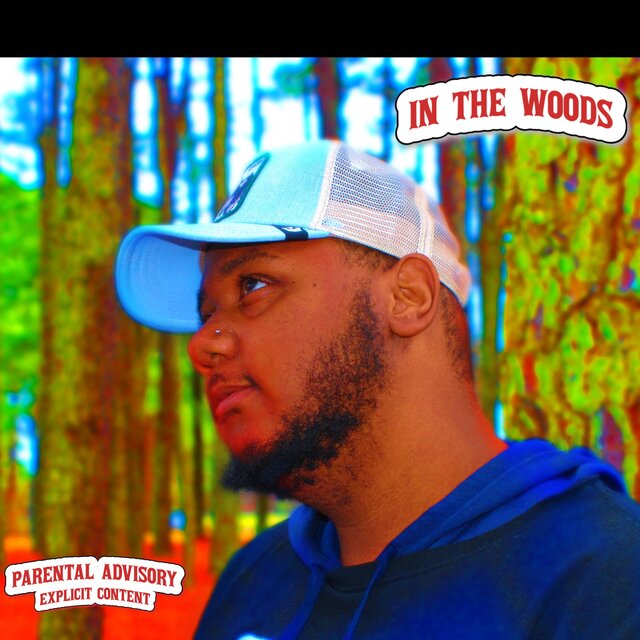 IN THE WOODS (ALBUM)