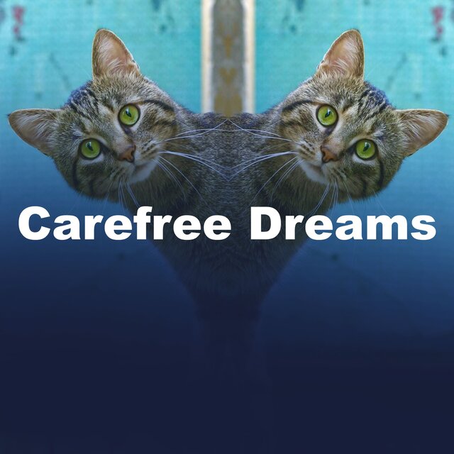 Carefree Dreams