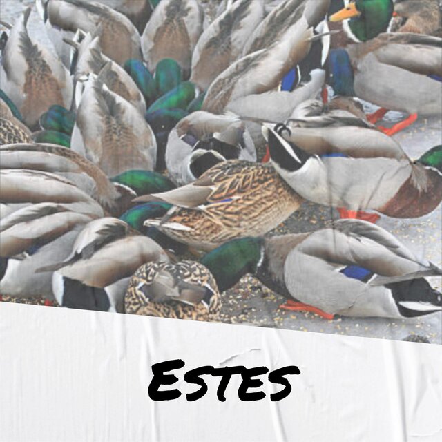Estes