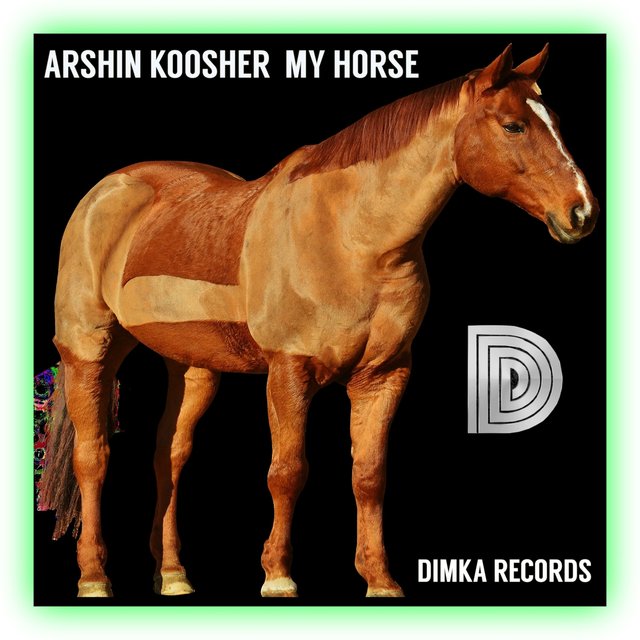 My Horse