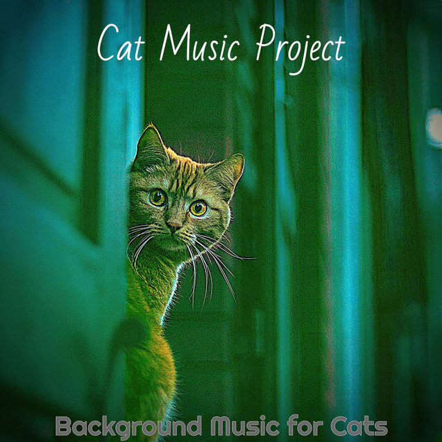 Background Music for Cats
