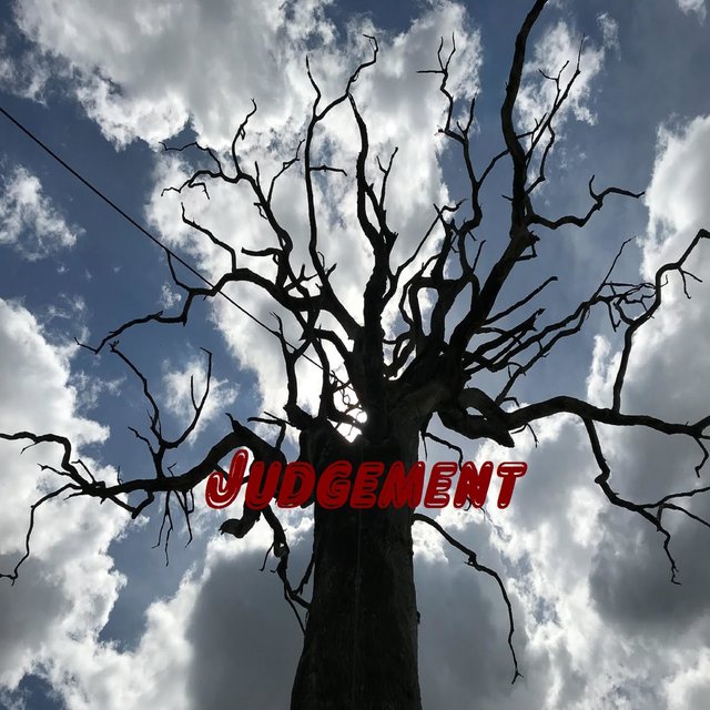 Judgement