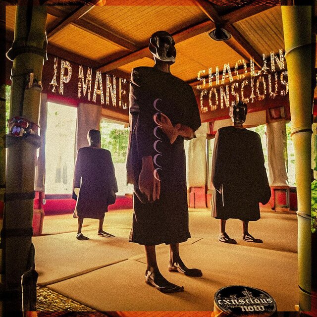 IP MANE: SHAOLIN CONSCIOUS