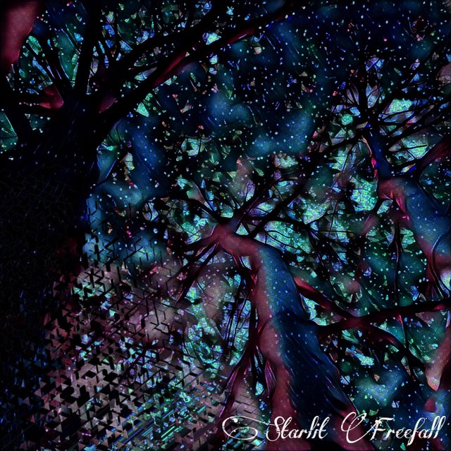 starlit freefall