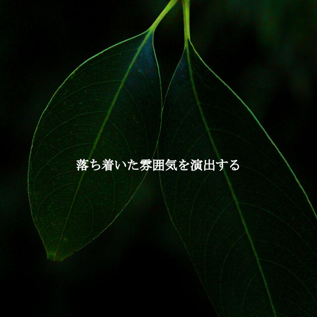 落ち着いた雰囲気を演出する