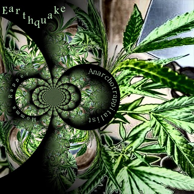 Cover art for album  by Momma Rapper, Anarchotrappitalist