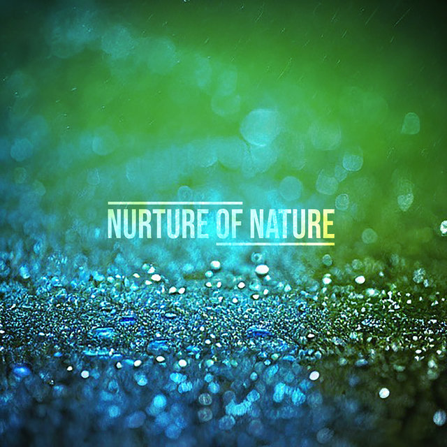 Sounds of Raindrops