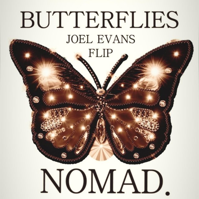 Butterflies (feat. Joel Evans)