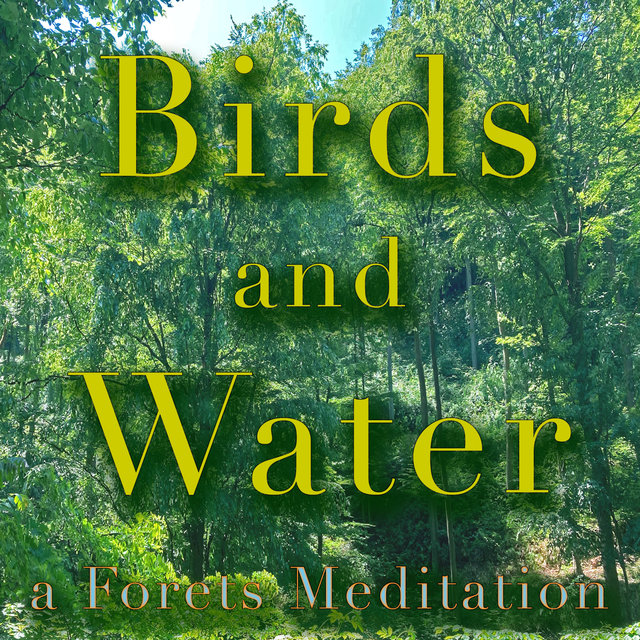 Birds and Water, a Forest Meditation