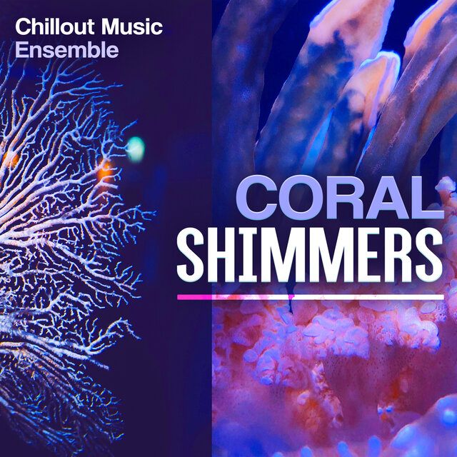 Coral Shimmers