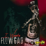 Flow Gad