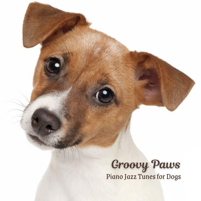 Groovy Paws: Piano Jazz Tunes for Dogs