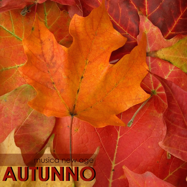 Autunno - Musica New Age Classica con Suoni della Natura per il Relax della Terza Stagione, Musica di Piano con Rumore di Pioggia