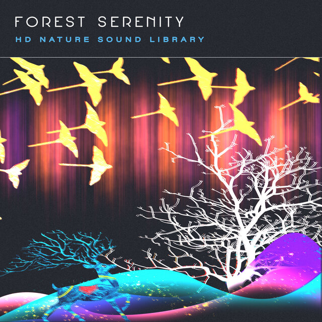 Forest Serenity
