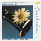 Donizetti: Clarinet Concertino in B-Flat Major: II. Allegretto
