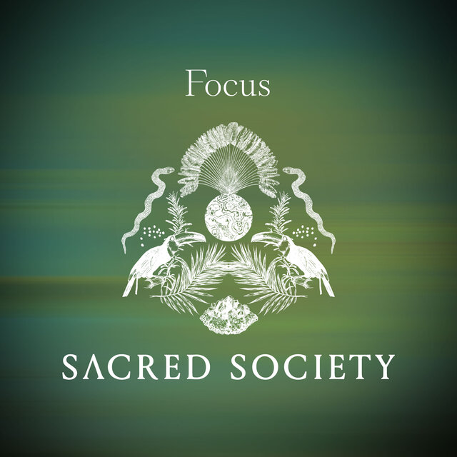 Focus